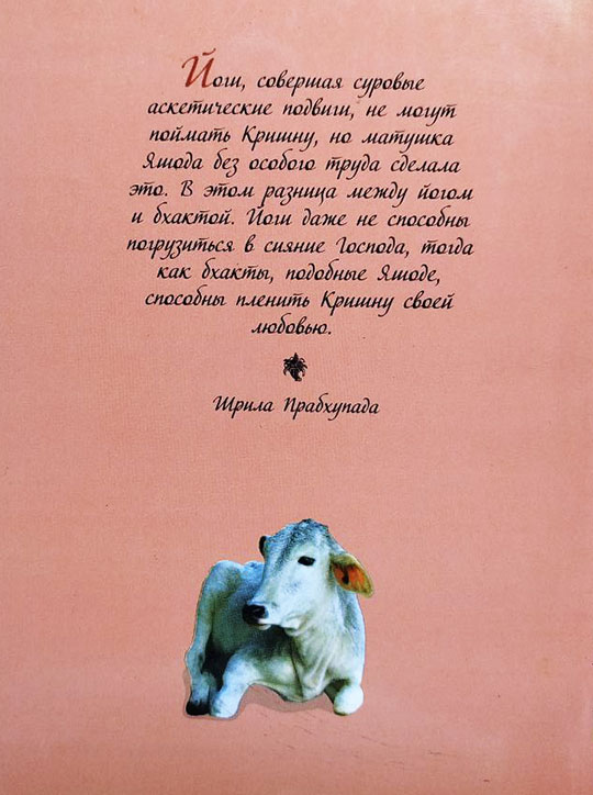 Дамодара, связанный любовью