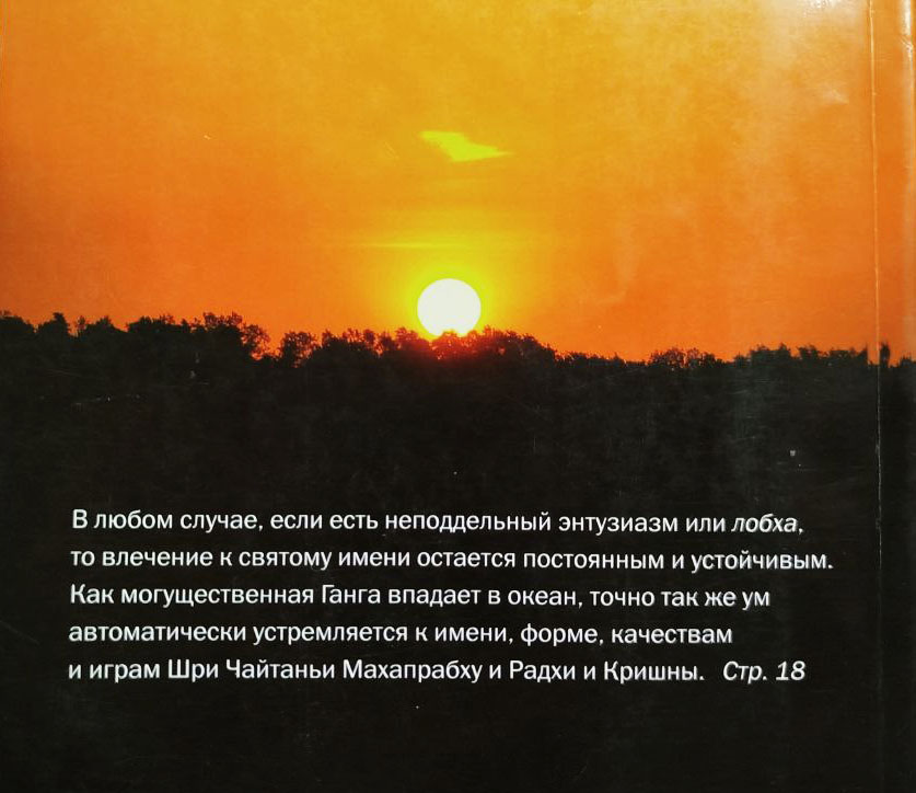 Партха Саратхи Дас Госвами Дневник сражающегося садхаки. Том 5 Партха Саратхи Дас Госвами Дневник сражающегося садхаки. Том 5