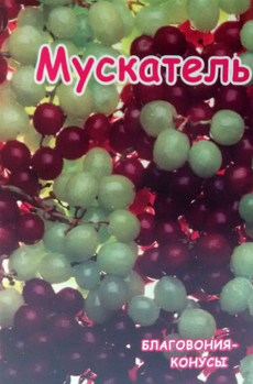 мускатель